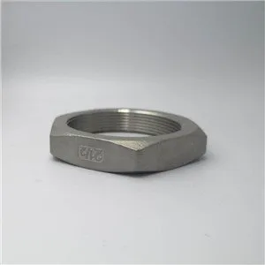 Stainless Steel 304 316 Undercut Anchor Bolts for Curtain Wall Construction