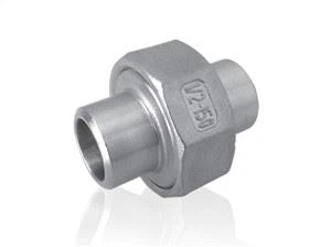 Stainless Steel Pipe Union Teflon Flat Butt Weld